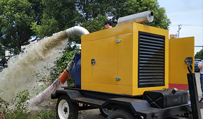 Precision Maintenance Manual for Self-Priming Trailer Pumps