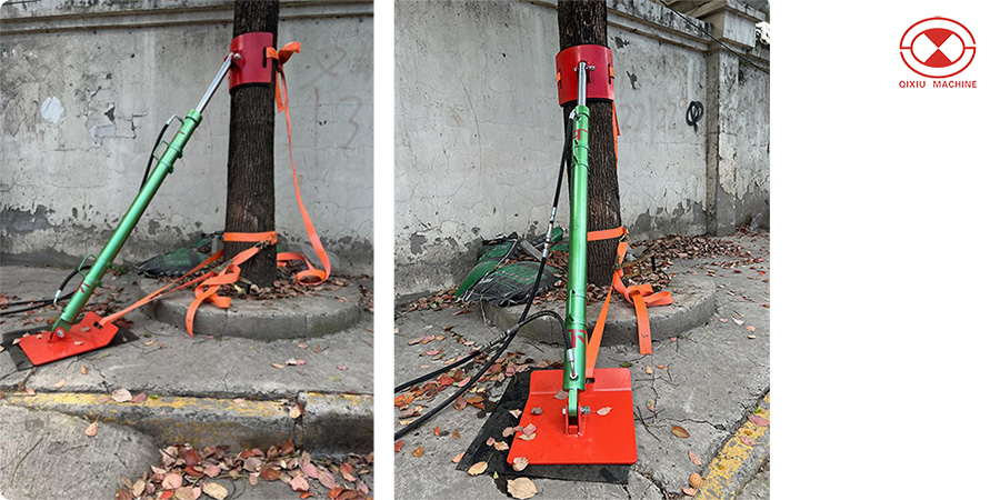 Tree Straightener Operation Schematic
