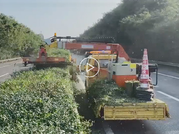 Dual-Blade Cutting Video