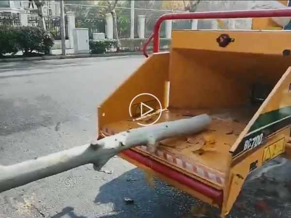 15cm Crushing Video of Weimeng Shredder