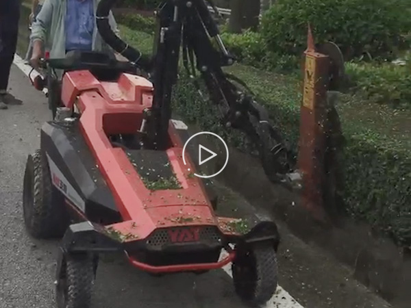 Vertical Cutting Video of the New Handheld Greenery Trimmer